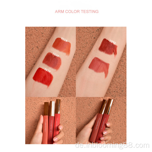 Großhandel 5 Farben Lang anhaltende Velvet Matte Lip Glaze